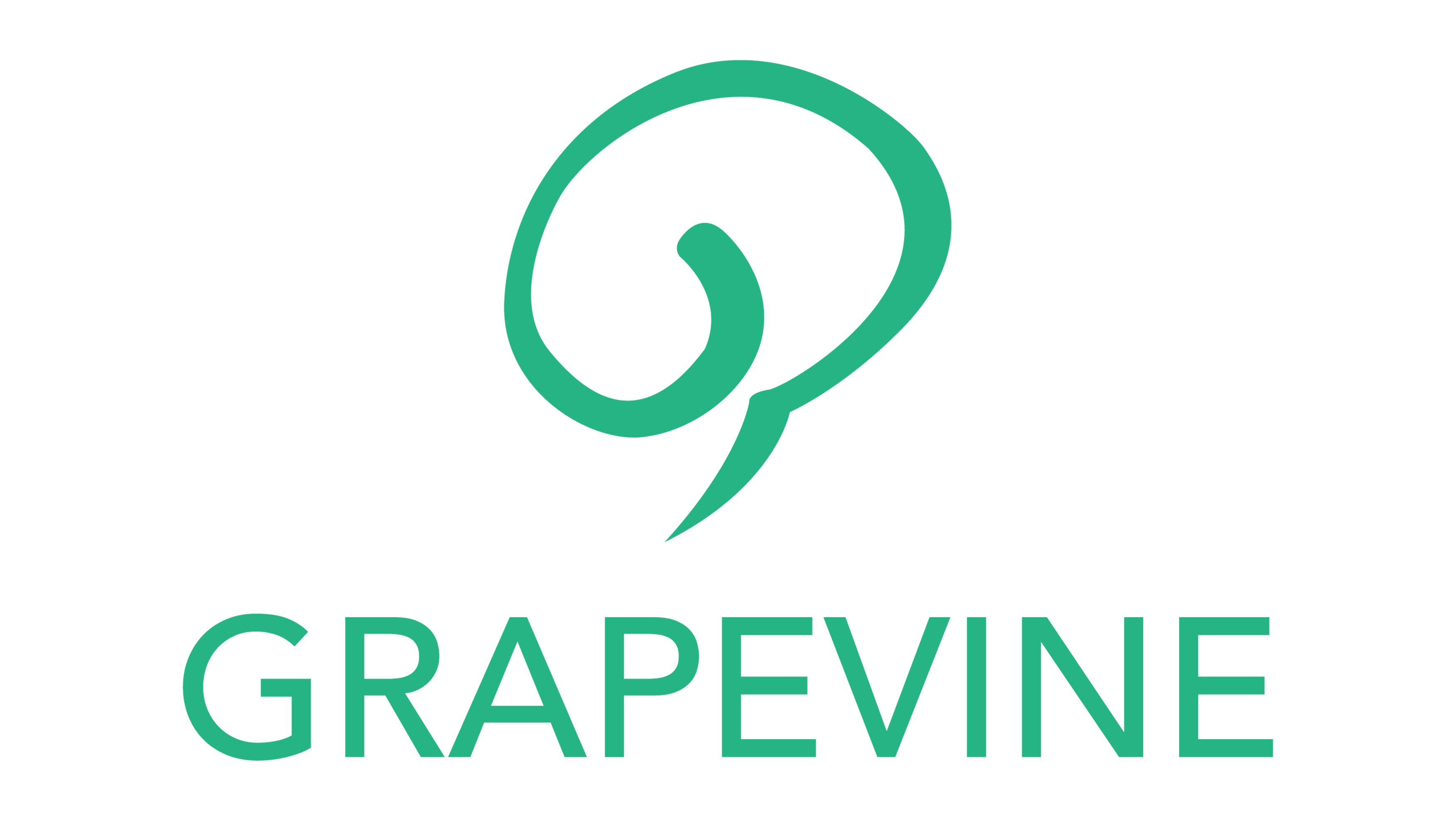 Grape Vine